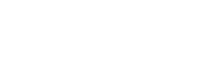 TELNET 
HOLDINGS
